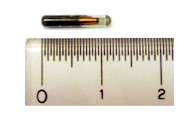 マイクロチップ 直径約2mm_長さ約12mm
